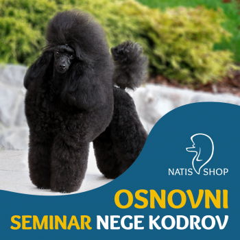 Osnovni seminar za nego...