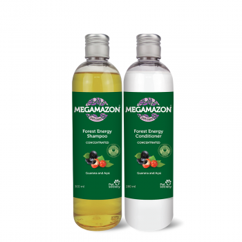 Megamazon Forest Energy...