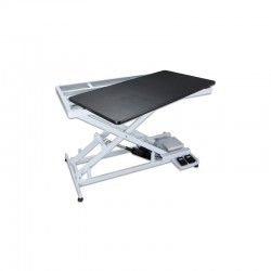 Callisto electric table