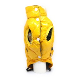 Camon bundica Sansone