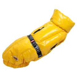 Camon bundica Sansone