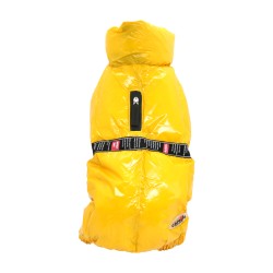 Camon bundica Sansone