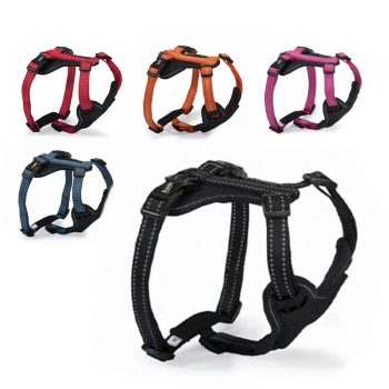 Camon reflex H harness XL