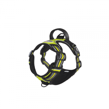 Camon reflektivna podložena...